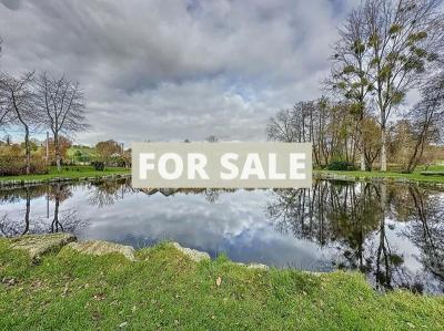 Main House, Two Lakes, Fish Farm and Land
