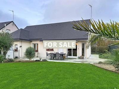 Beautiful Modern House, Nice Family Home