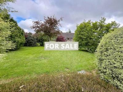Property For Sale