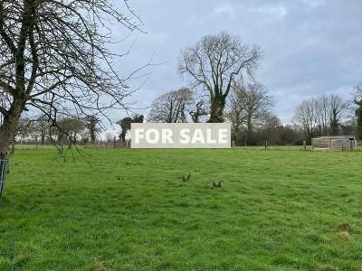 Detached Country House with Numerous Outbuilding