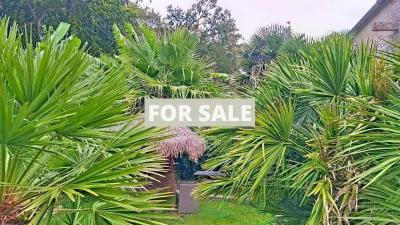 Property For Sale