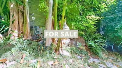 Property For Sale