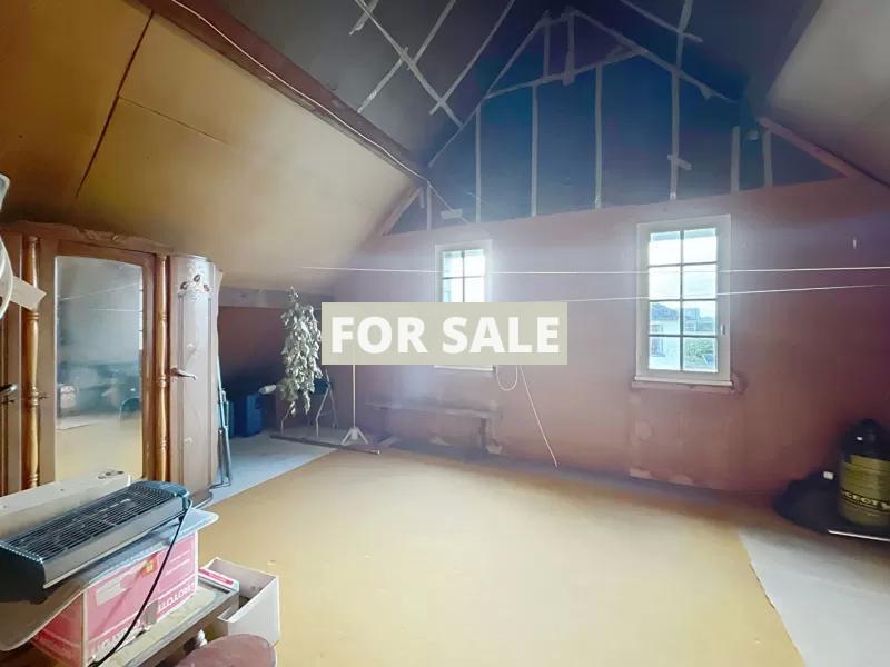 Detached House with Garden