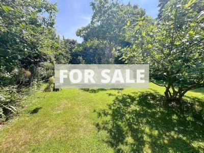 Property For Sale
