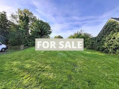 Contemporary Detached House in Landscaped Garden