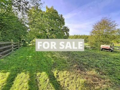 Contemporary Detached House in Landscaped Garden