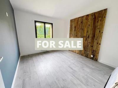 Contemporary Detached House in Landscaped Garden