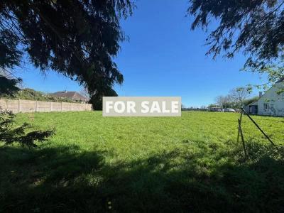 Detached Country House with Open Views