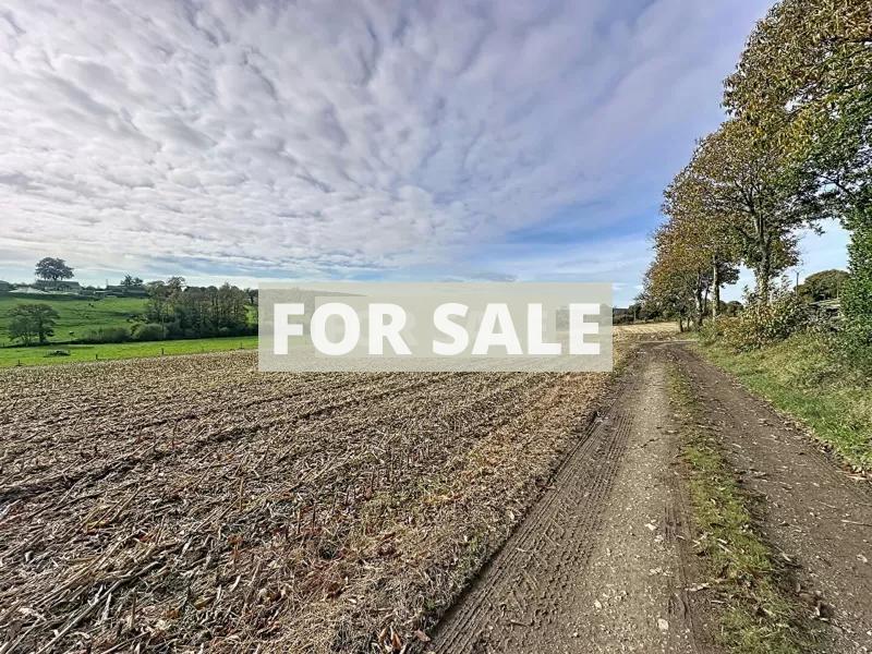 Detached Country House with Open Views