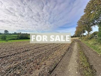 Detached Country House with Open Views