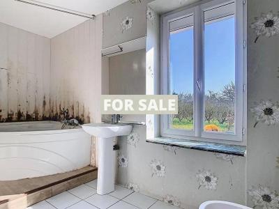 Traditional House with Garden