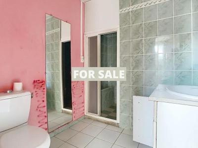 Traditional House with Garden