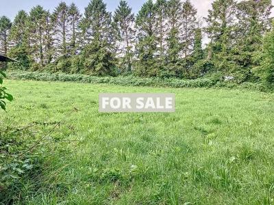 Property For Sale