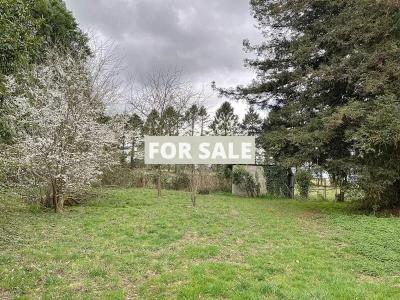 Property For Sale