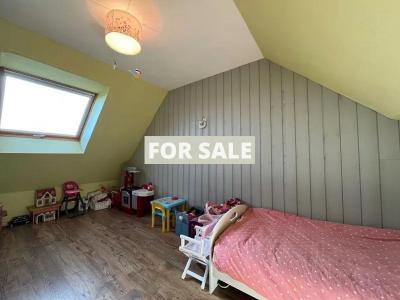 Detached Country House with Outbuilding