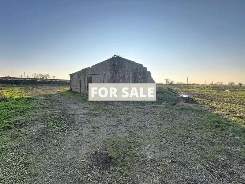Detached Country House with Outbuilding
