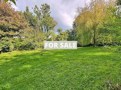 Detached Country House with Bundles of Character
