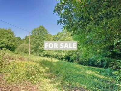 Beautiful Country House Recently Renovated