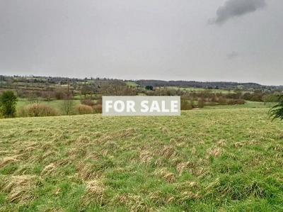 Three Country Houses with Open Views