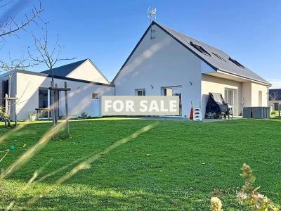 Contemporary Detached House