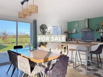 Contemporary Detached House