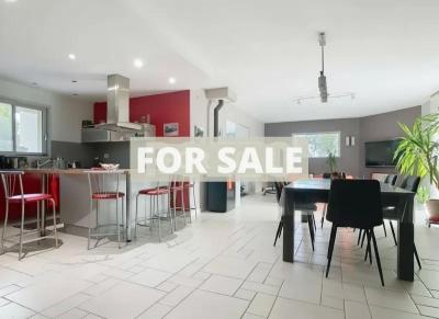 Contemporary Detached House