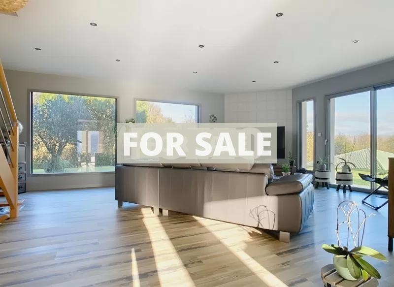 Contemporary Detached House