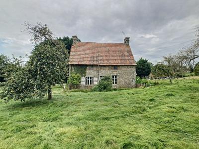 Detached Country House with Outbuildings in 4.5 Hectares of Land