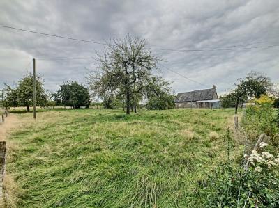 Detached Country House with Outbuildings in 4.5 Hectares of Land