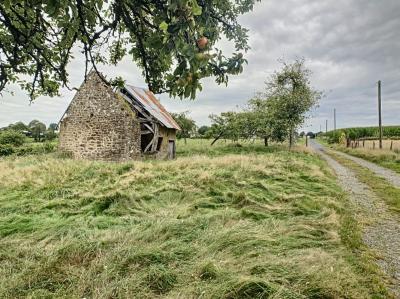 Detached Country House with Outbuildings in 4.5 Hectares of Land