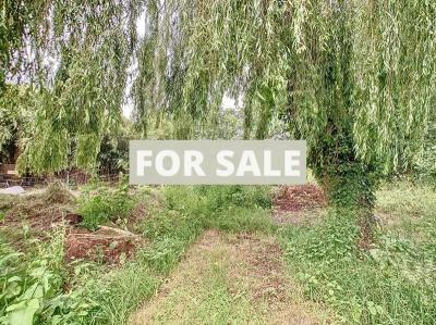 Detached House with Garden