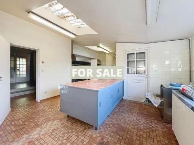 Business and Accommodation