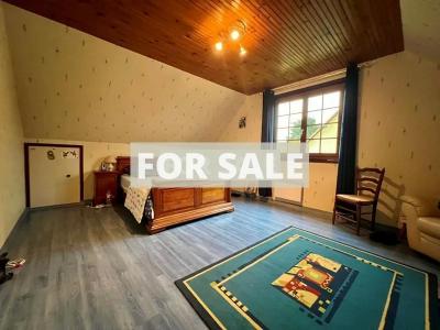 Detached House with Landscaped Garden