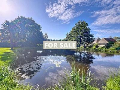 Detached Country House with Garden and Lake