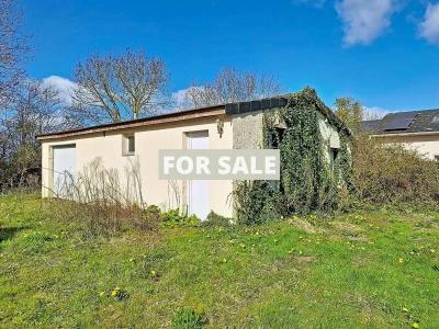 Detached House with Garden