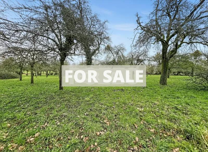 Detached Country House with Outbuilding