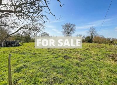 Detached Country House with Outbuilding