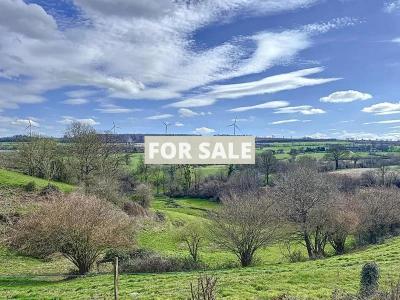 Property For Sale