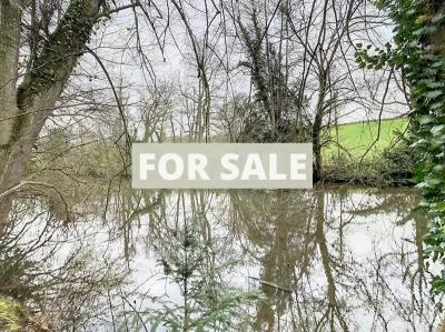 Detached Country House with Land