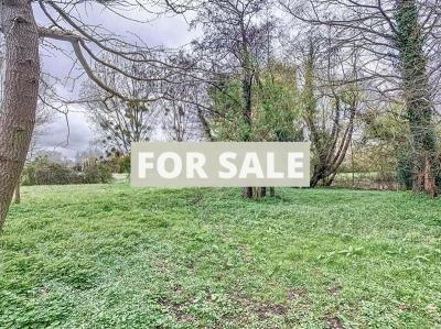 Detached Country House with Land