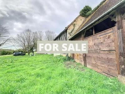 Detached Country House with Land