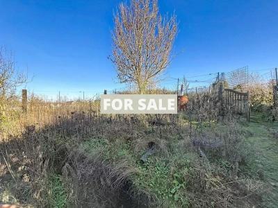 Detached Country House with Open Views