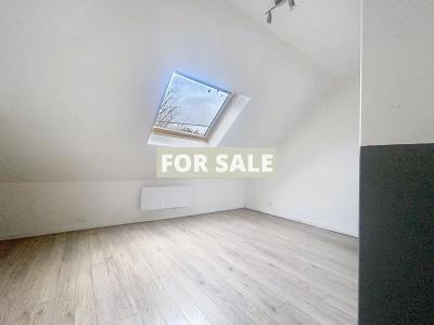 Lovely Half-Timbered House with Garden