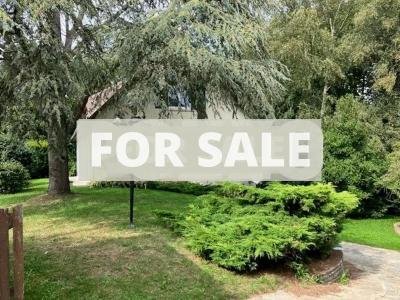 Detached House with Garden