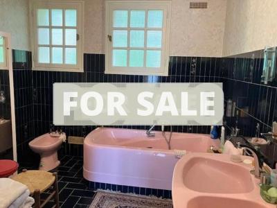 Detached House with Garden