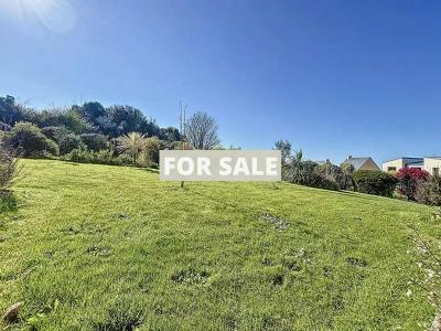 Property For Sale