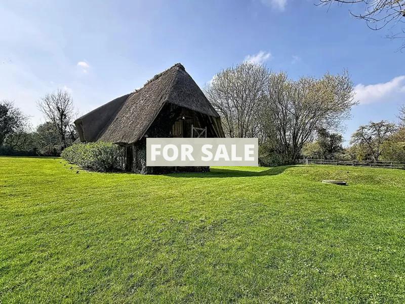 Detached Country House with Swimming Pool