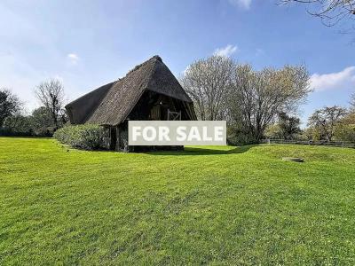 Detached Country House with Swimming Pool