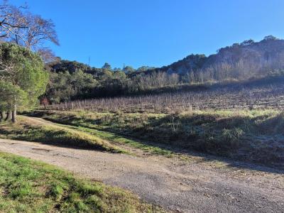 Unique Property Estate With Huge Potential