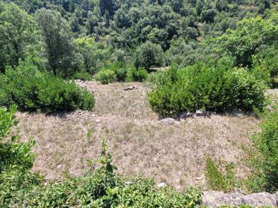 Superb Farmhouse, Terraced Plot with Pool